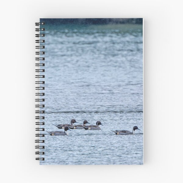 Item preview, Northern Pintail Ducks all in a row designed and sold by lisavonbiela.