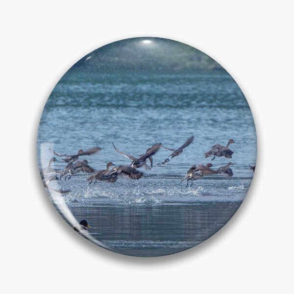 Item preview, Flock of Northern Pintail Ducks taking off designed and sold by lisavonbiela.