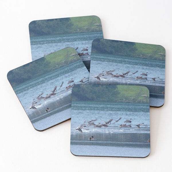 Item preview, Flock of Northern Pintail Ducks taking off designed and sold by lisavonbiela.