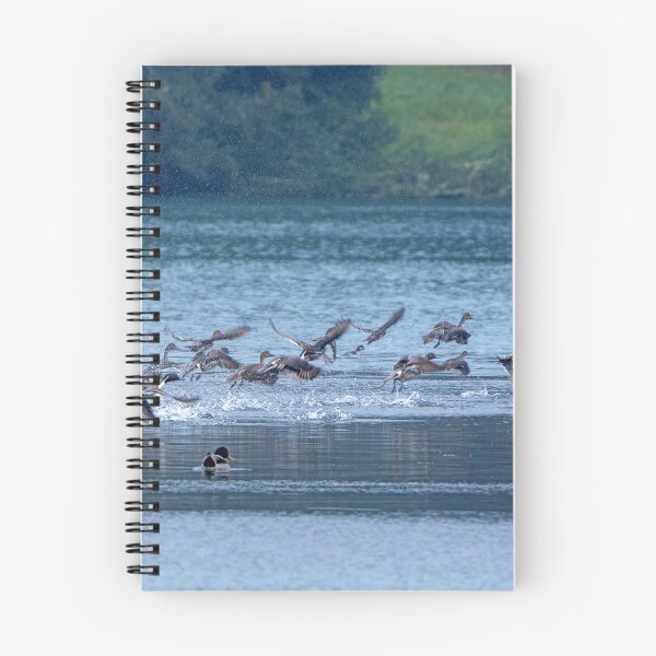 Item preview, Flock of Northern Pintail Ducks taking off designed and sold by lisavonbiela.