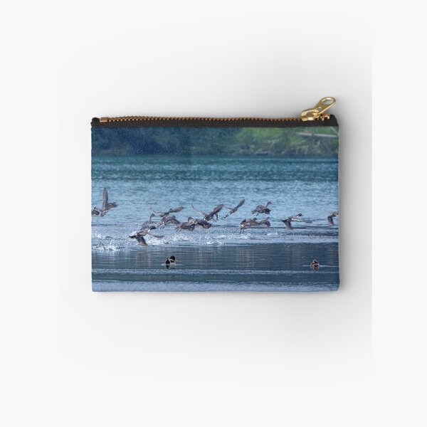Item preview, Flock of Northern Pintail Ducks taking off designed and sold by lisavonbiela.