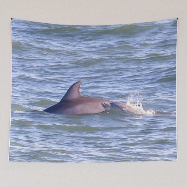 Item preview, Dolphins, Mother & Child, Myrtle Beach, SC designed and sold by MBGSL DESIGNS .
