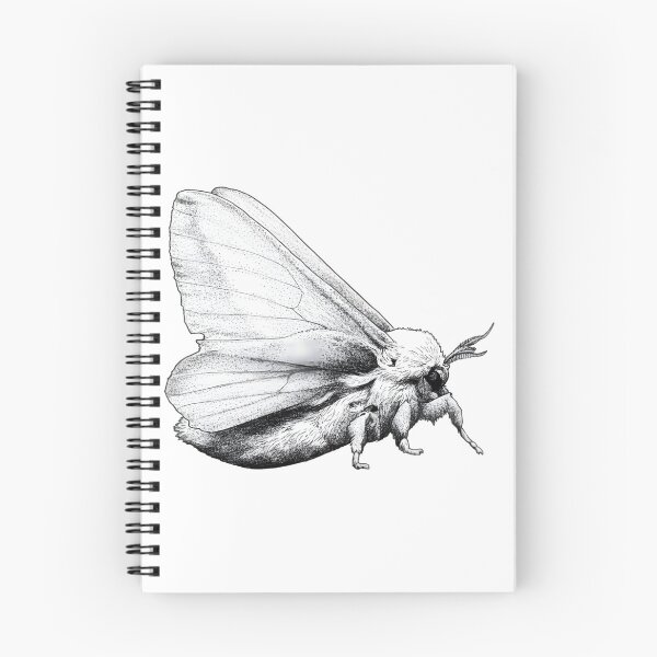 Item preview, Moth designed and sold by Naux | Design & Illustration.