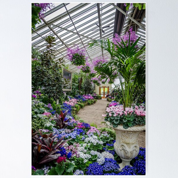 Item preview, Conservatory - Fitzroy Gardens designed and sold by House of Golden.