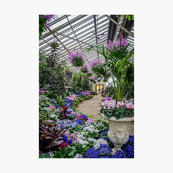 Item preview, Conservatory - Fitzroy Gardens designed and sold by House of Golden.