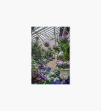 Conservatory - Fitzroy Gardens Art Board