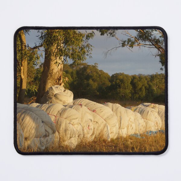 Item preview, Bird Nets in Repose - Magpie Springs designed and sold by MagpieSprings.
