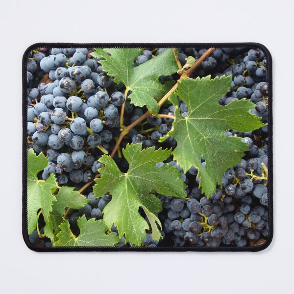 Artikelvorschau, Merlot-Traubenlese – Magpie Springs entworfen und verkauft von MagpieSprings.