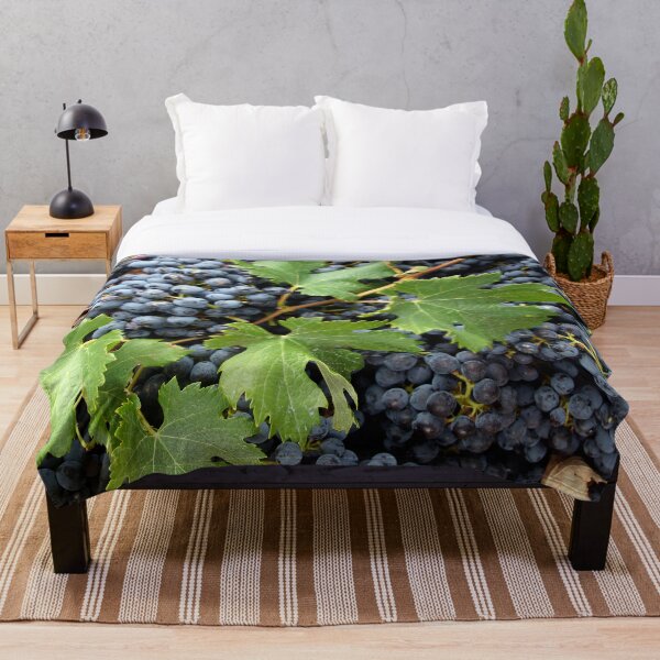 Item preview, Merlot Grapes at Harvest - Magpie Springs designed and sold by MagpieSprings.