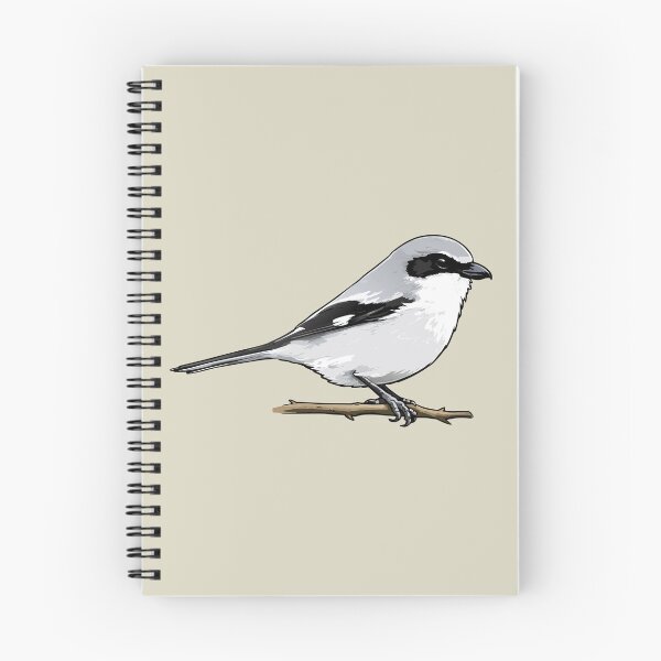 Item preview, Loggerhead Shrike Bird Illustration | Minimal Wildlife Art designed and sold by donwillisjrart.