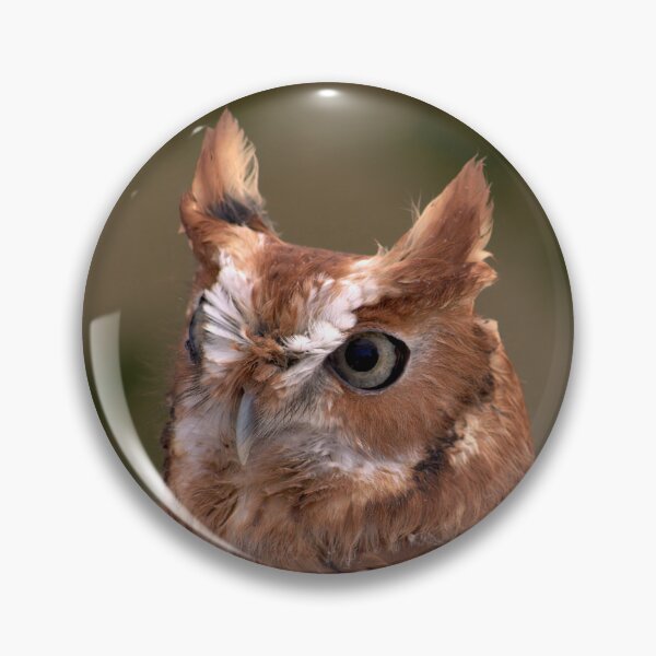 Item preview, Rufous Sentinel: Eastern Screech Owl in Focus designed and sold by Armadillo222.
