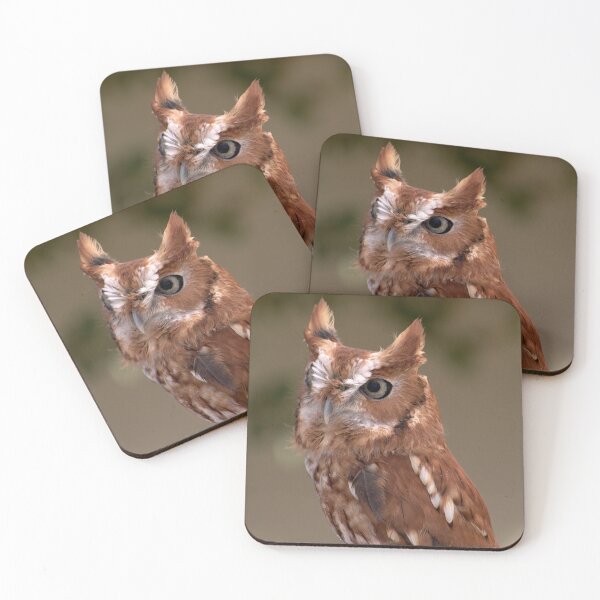 Item preview, Rufous Sentinel: Eastern Screech Owl in Focus designed and sold by Armadillo222.