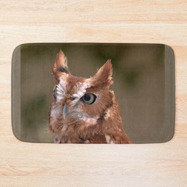 Item preview, Rufous Sentinel: Eastern Screech Owl in Focus designed and sold by Armadillo222.