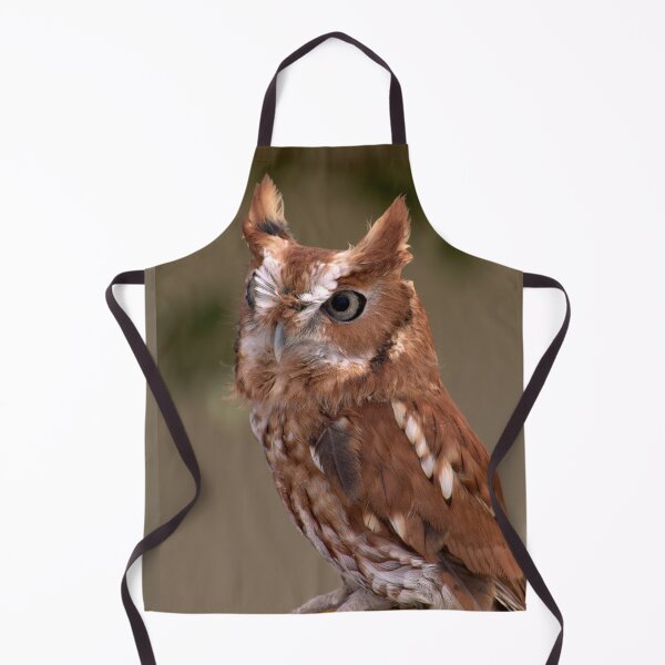Item preview, Rufous Sentinel: Eastern Screech Owl in Focus designed and sold by Armadillo222.