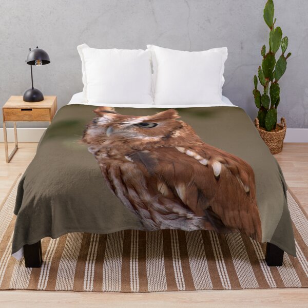 Item preview, Rufous Sentinel: Eastern Screech Owl in Focus designed and sold by Armadillo222.