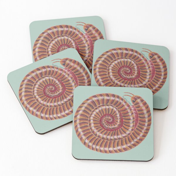 Item preview, Desert millipede in colored pencils designed and sold by WolfRaven Creations.