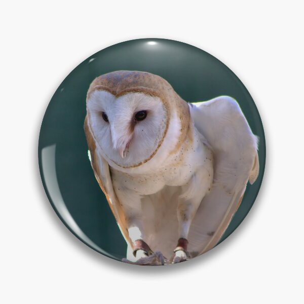 Item preview, Silent Sentinel: Barn Owl in Focus designed and sold by Armadillo222.