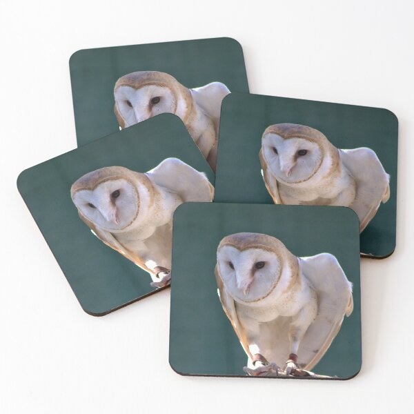 Item preview, Silent Sentinel: Barn Owl in Focus designed and sold by Armadillo222.