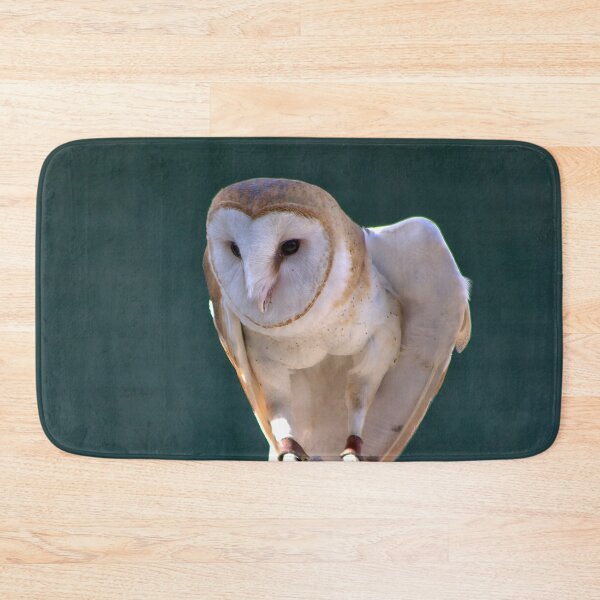 Item preview, Silent Sentinel: Barn Owl in Focus designed and sold by Armadillo222.