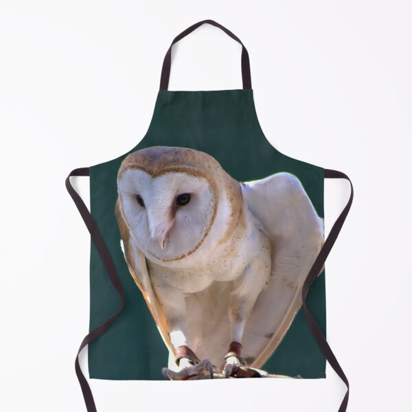 Item preview, Silent Sentinel: Barn Owl in Focus designed and sold by Armadillo222.