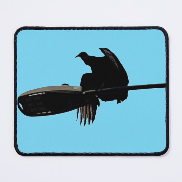 Item preview, Buzzard on a light pole designed and sold by XOCH2024.