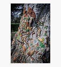 The Fairies Tree - Fitzroy Gardens Photographic Print