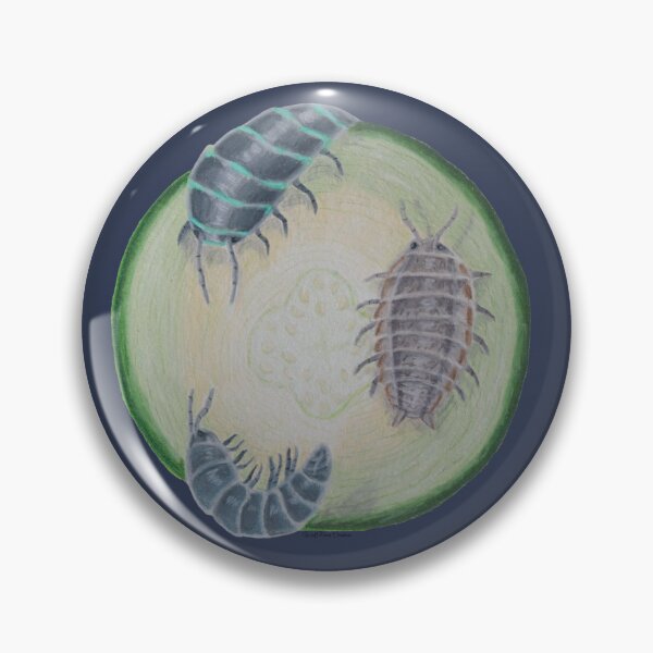 Item preview, Isopods on a zucchini slice in colored pencils. designed and sold by WolfRaven Creations.