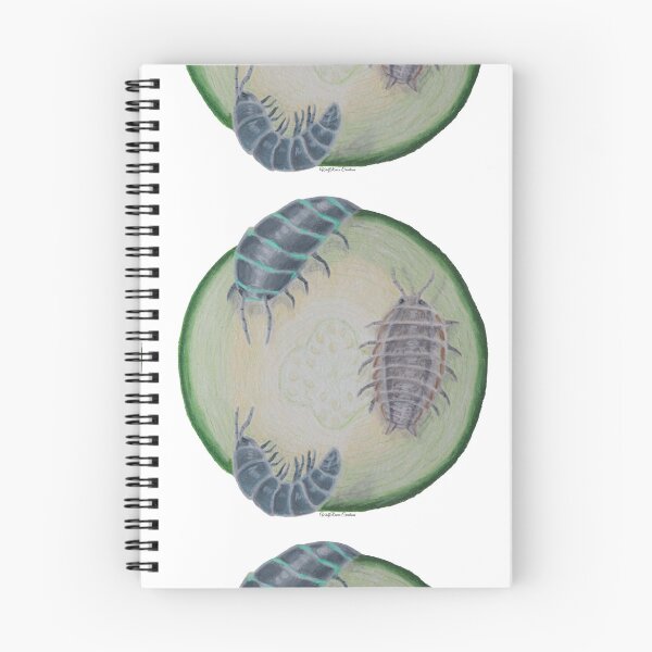 Item preview, Isopods on a zucchini slice in colored pencils. designed and sold by WolfRaven Creations.