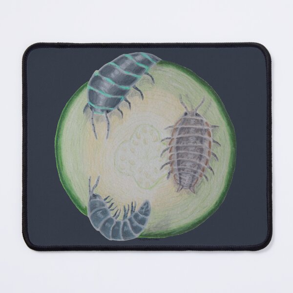 Item preview, Isopods on a zucchini slice in colored pencils. designed and sold by WolfRaven Creations.