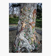 The Fairies Tree - Fitzroy Gardens Photographic Print