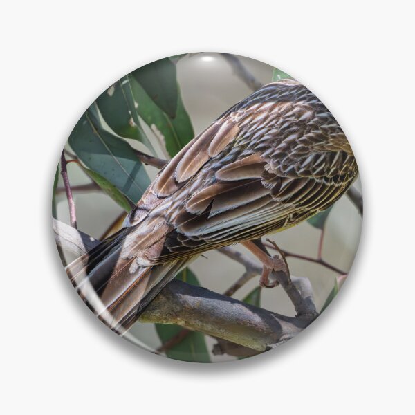 Item preview, Wattlebird Watch at Herdsman Lake designed and sold by Jan Fijolek.