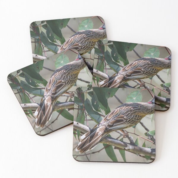Item preview, Wattlebird Watch at Herdsman Lake designed and sold by Jan Fijolek.