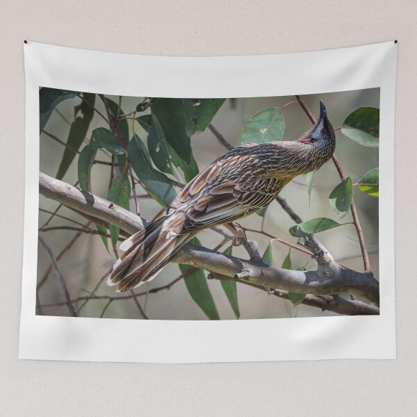 Item preview, Wattlebird Watch at Herdsman Lake designed and sold by Jan Fijolek.
