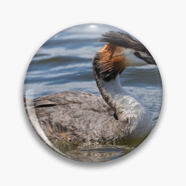 Item preview, Grebe Matriarch in Still Water designed and sold by Jan Fijolek.