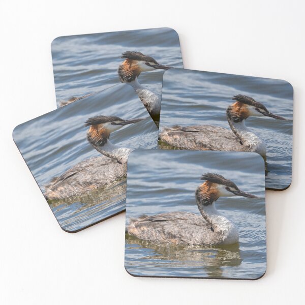 Item preview, Grebe Matriarch in Still Water designed and sold by Jan Fijolek.