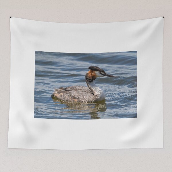 Item preview, Grebe Matriarch in Still Water designed and sold by Jan Fijolek.