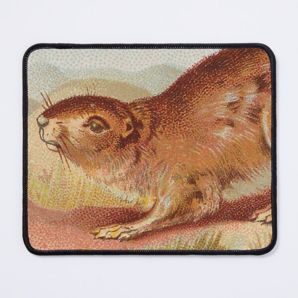 Item preview, Vintage Prairie Dog Illustration  designed and sold by AnimaliaStar.