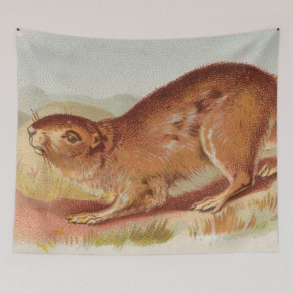 Item preview, Vintage Prairie Dog Illustration  designed and sold by AnimaliaStar.