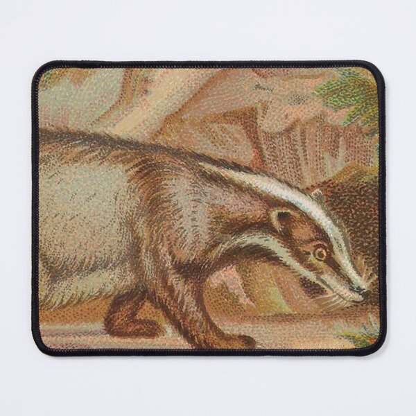 Item preview, Vintage Badger Illustration  designed and sold by AnimaliaStar.