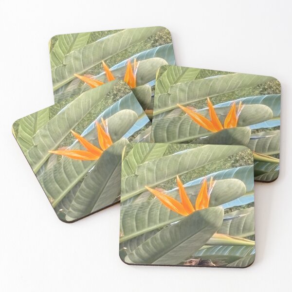 Item preview, Orange sharp and courageous  designed and sold by Rose-Wise.