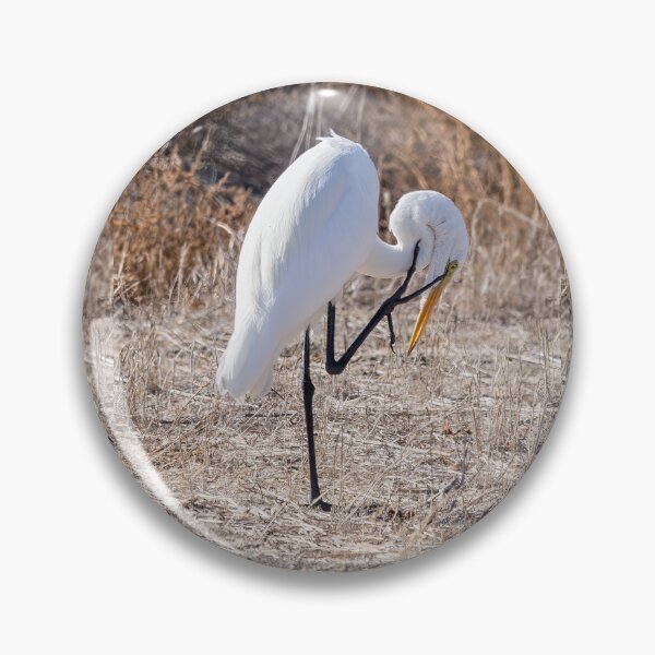 Item preview, Great White Egret With an Itch designed and sold by CarolM.