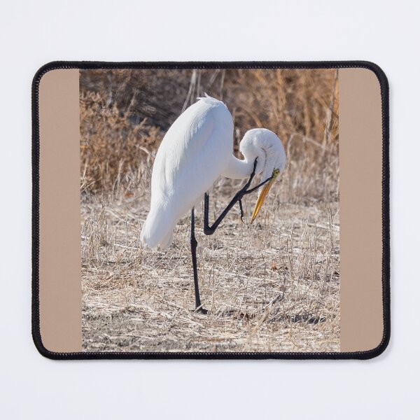 Item preview, Great White Egret With an Itch designed and sold by CarolM.