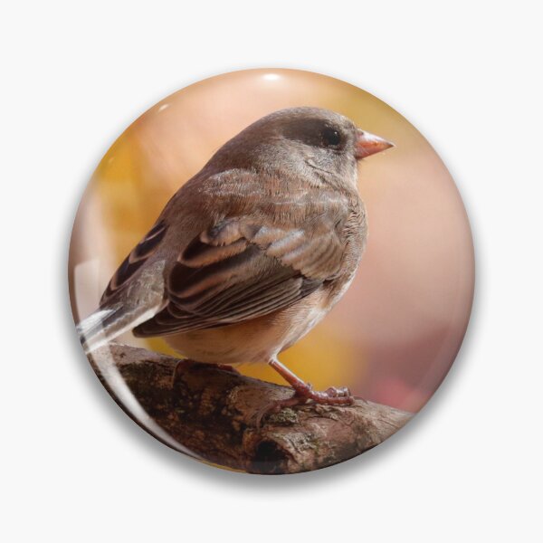 Item preview, Junco designed and sold by Parks and X.