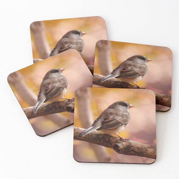 Item preview, Junco designed and sold by Parks and X.