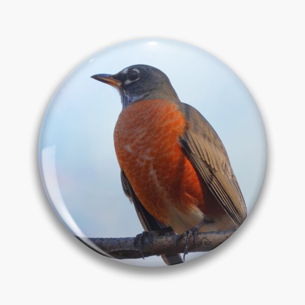 Item preview, Robin designed and sold by Parks and X.