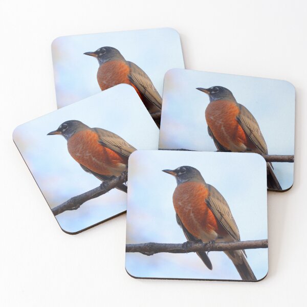 Item preview, Robin designed and sold by Parks and X.