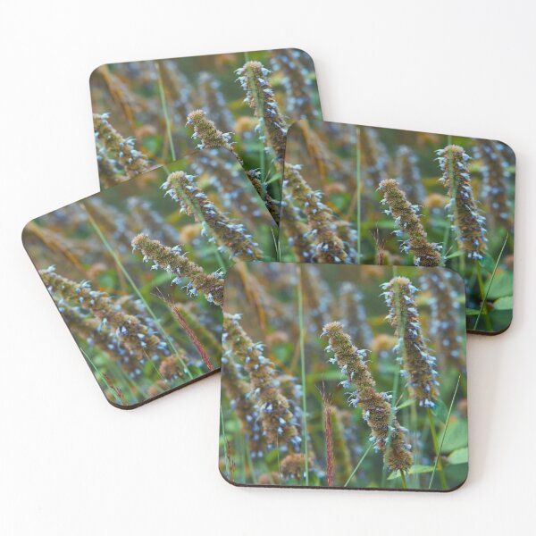 Item preview, Anise Hyssop designed and sold by duderichy.