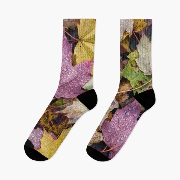 Item preview, Dew-Covered Fall Maple Leaves designed and sold by Tridentulus.