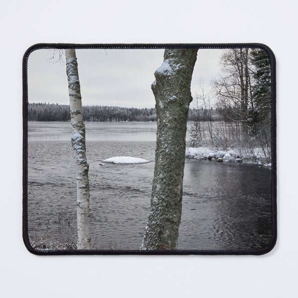 Item preview, Birches. Parkuu 2025 designed and sold by Jouko Lehto Photography.