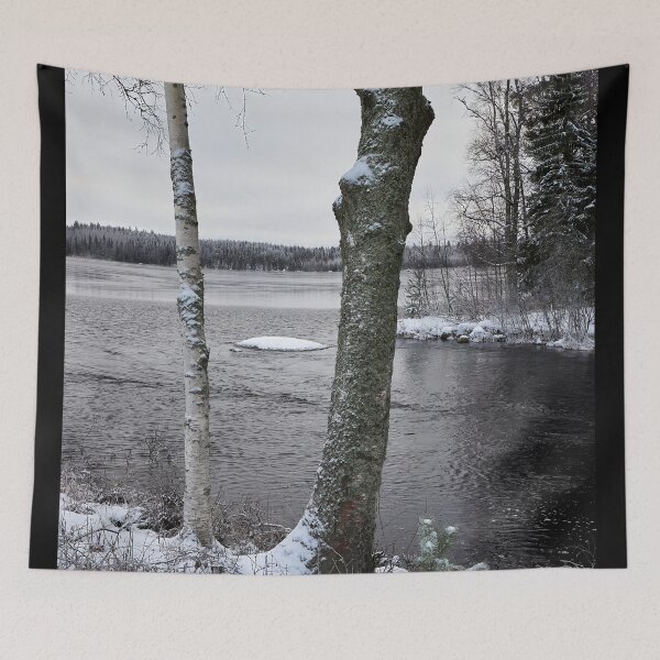 Item preview, Birches. Parkuu 2025 designed and sold by Jouko Lehto Photography.